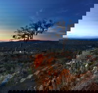 Kalamunda National Park - Stayed