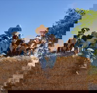 Katherine Outback Experience - Stayed