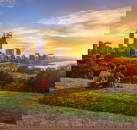 Kings Park and Botanic Garden - Stayed