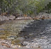 Lake Rowallan - Stays Accommodation