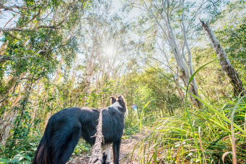 Lamb Island (Nguderoo) - Stayed 1