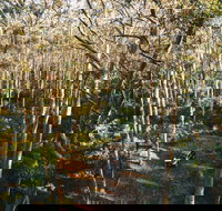 Leeuwin-Naturaliste National Park - Cowaramup - Stayed