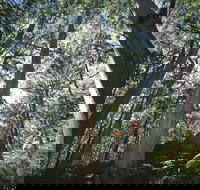 Leeuwin-Naturaliste National Park - Leeuwin - Stayed