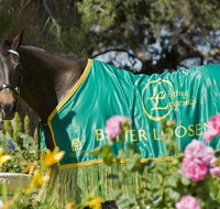 Living Legends The International Home of Rest for Champion Horses - Stayed