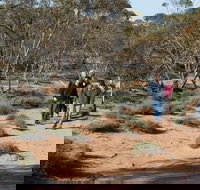 Mallee Stop walking track - Stayed
