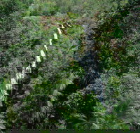 Mapleton Falls National Park - Stayed