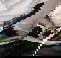 Marrawuddi Gallery - Stayed