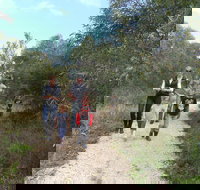 Meningie Lions Walking Trail - Stayed