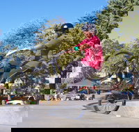 Millicent Skatepark - Stayed