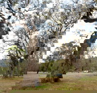 Moolarben Picnic Area - Stayed