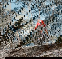 Mountain Bike Trails Deniliquin - Stayed