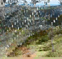 Mount Towac Walk - Stayed