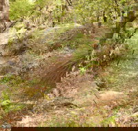 Mount Carnarvon Walking Track - Stayed