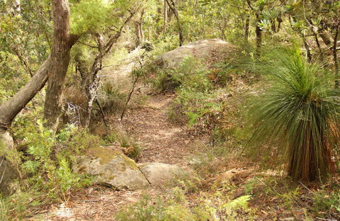 Mount Carnarvon Walking Track - Stayed 0