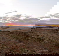 Mundi Mundi Plains - Stayed