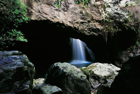 Natural Bridge Circuit, Springbrook National Park - Stayed 0