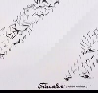 Nickname Hall of Fame - Stayed