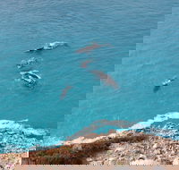 Nullarbor National Park - Stayed