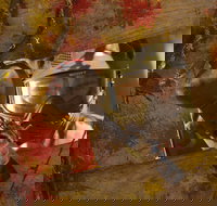 Paintball Sports - Stayed