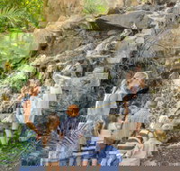 Queens Park Waterfall - Stayed