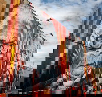 Shepparton Aboriginal Street Art Project Murals - Stayed