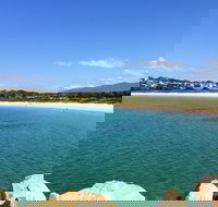 Snorkelling Bar Beach South - Stayed