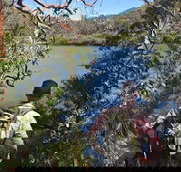 Sphinx Memorial to Bobbin Head Loop Track - Stayed