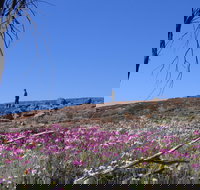 Talgomine Reserve - Stayed