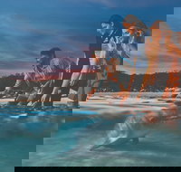 Tangalooma Wild Dolphin Feeding - Stayed