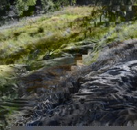 Terramungamine Rock Grooves - Stayed