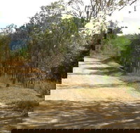 The Bloomfield Track - Stayed