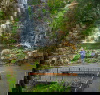 The Falls Walk Budderoo National Park - Stayed