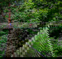 Thunderbird Park  - Tamborine Mountain Gold Coast Region - Stayed