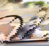 Toddler Thursdays at Werribee Open Range Zoo - Stayed