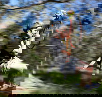 TreeTops Western Sydney - Stayed