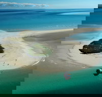 Turtle Discovery - Stayed