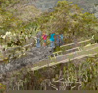 Walpole Wilderness Discovery Centre - Stayed
