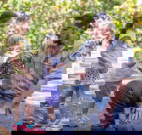 Walkabout Creek Discovery Centre - Stayed