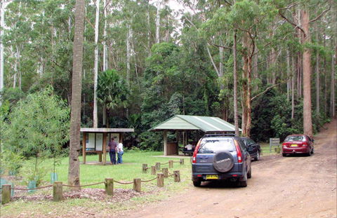 Wallingat Forest Drive - Stayed 0