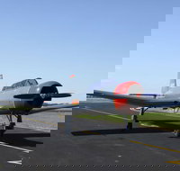 Warrior Warbirds - Open - Stayed