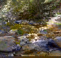 Washpool Walking Track - Stayed