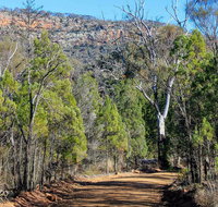 Weddin Gap to Black Spring Loop Trail - Stayed