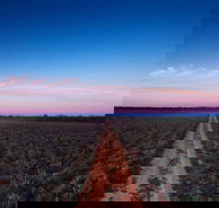 Yanga National Park - Stayed