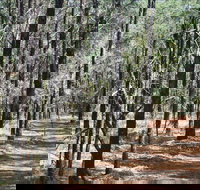 Yana-y Warruwi Walking Track - Stayed