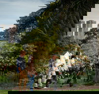 Aboriginal Heritage Walk - Stayed