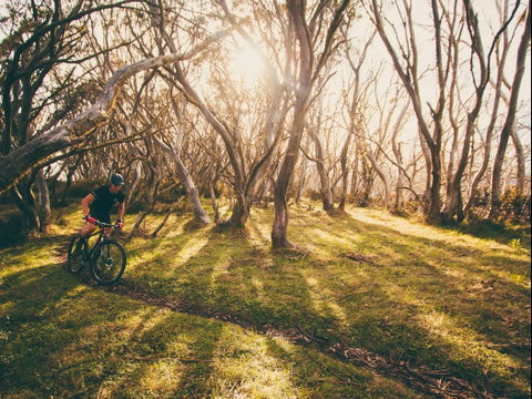 Australian Alpine Epic Mountain Bike Trail - Stayed 2