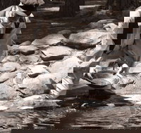 Bathurst Goldfields Education and Function Centre - Stayed