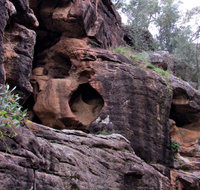 Bertha's Gully Walking Track - Stayed