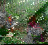 Binna Burra Lamington National Park - Stayed