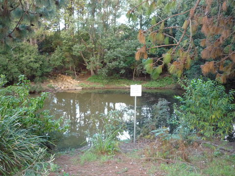 Birdwing Butterfly Walk - Stayed 0
